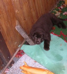 2251_1074065981059_2774_n