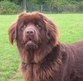 2251_1074066261066_4307_n