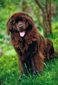 31840_1430021999737_1744845_n